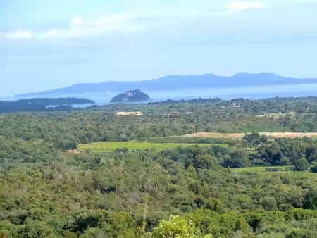 la londe les maures terrain 18200 m² zone naturelle boisee