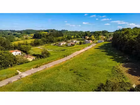 terrain
