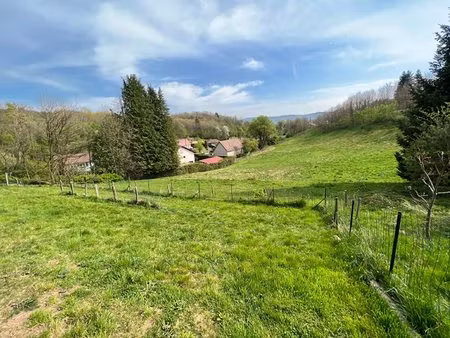 maison vue degagee grand terrain 9741 m² - ronchamp