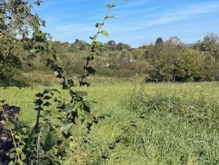 a vendre terrain à bouxières aux chênes