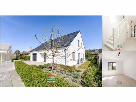 villa à vendre à molenakker 12 assebroek (rwc42462)