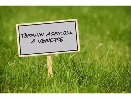 exclusivité - terrain clôturé de 2 55 ha à vendre à aigueperse