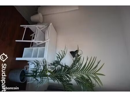 chambre 1 pièce 26 m²