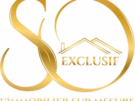 hôtel particulier à vendre à mézières-sur-seine