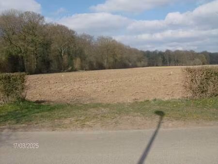 terrain constructible viabilisé à vendre