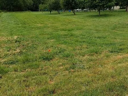 terrain constructible viabilisé à vendre