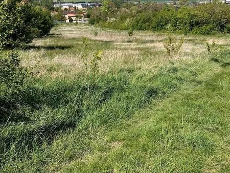 terrain constructible viabilisé à vendre