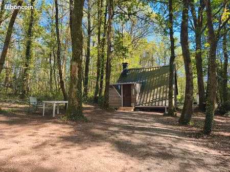 chalet en bois sur terrain boisé