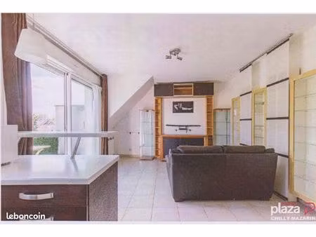 appartement 2 pièces 42 m² chilly mazarin