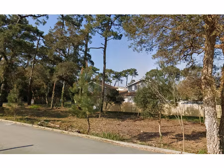 terrain labenne m² t- à vendre  339 000 €