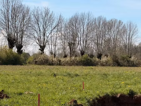 vente terrain 1115 m² à thérondels (12600)  11 150 €