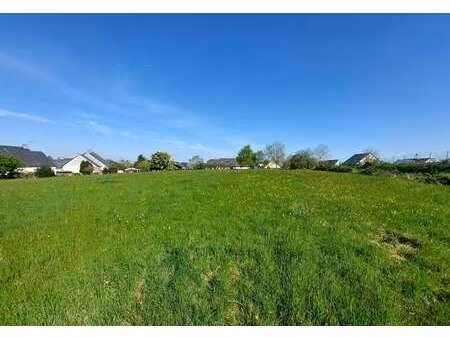 vente terrain au pertre (35370) : à vendre / 1240m² le pertre