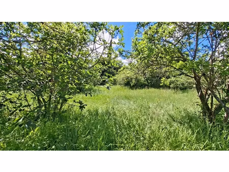 vente terrain 676 m² à digne-les-bains (04000)  79 000 €