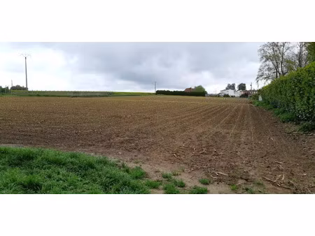 vente terrain 510 m² à saint-hilaire-lez-cambrai (59292)  59 000 €