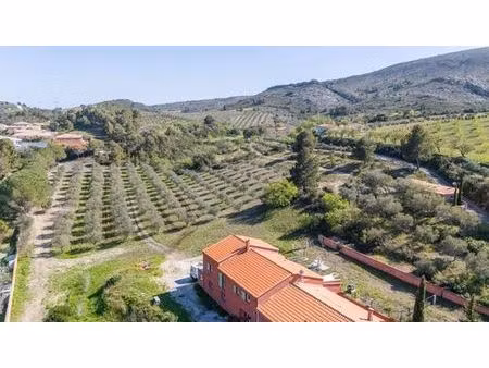 villa de luxe de 10 pièces en vente cases-de-pène  france