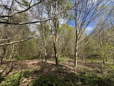 vente terrain 118110 m² à la vespière (14290)  186 480 €
