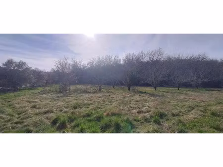 vente terrain 2450 m² à orgnac-l'aven (07150)  92 000 €