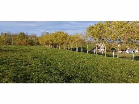 terrains constructible mauriac