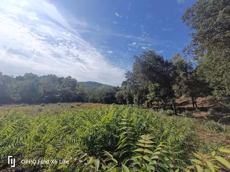 vente terrain 930 m² à taradeau (83460)  154 000 €