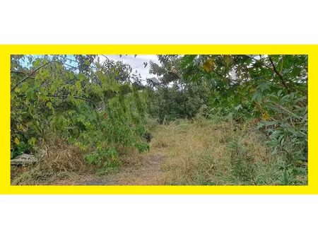vente terrain 927 m² à le piton saint leu (97424)  295 000 €