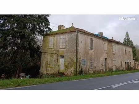 maison en pierre apparente avec jardin