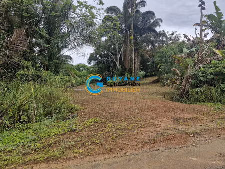 terrain constructible paramana