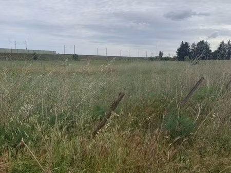 terrain