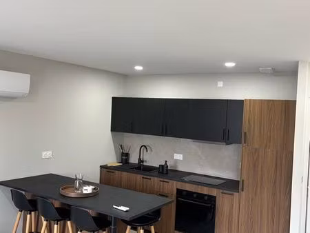 appartement duplex manissieux