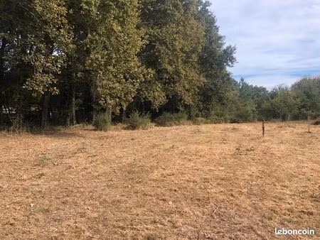 location terrain