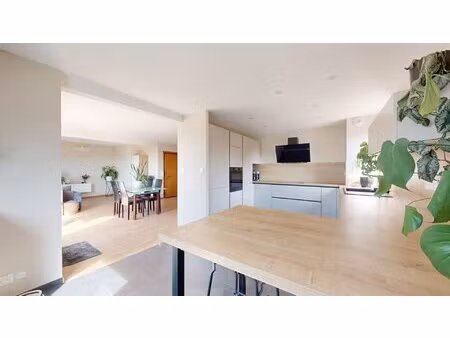 duplex 3 chambres terrasse et beaux volumes