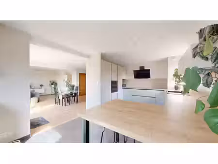 duplex 3 chambres – terrasse et beaux volumes