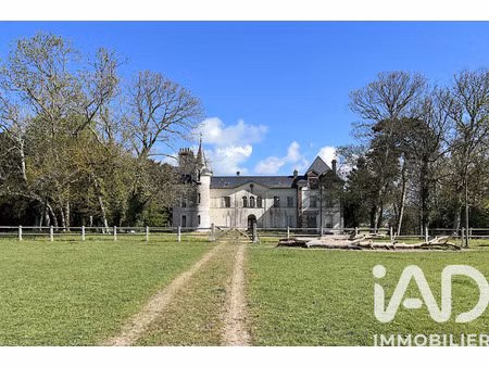vente château 23 pièces