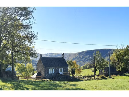 maison en pierre avec source  dépendances et vue panoramique   menet (15400)