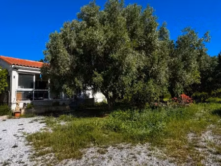 maison à torreilles (66440)