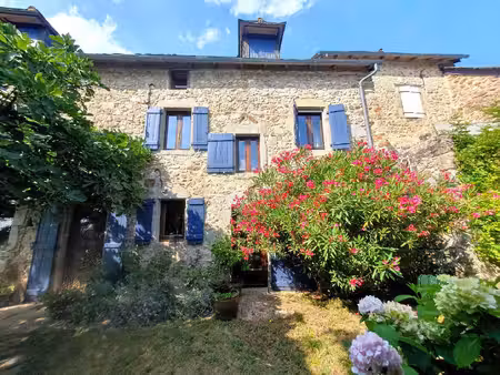 maison en pierre avec gîte  piscine naturelle et vue - 3 500 m²