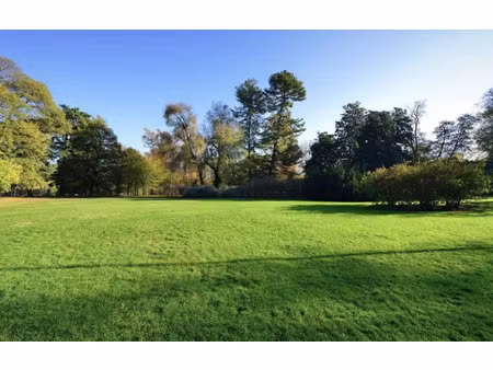 terrain 150 m2 centre