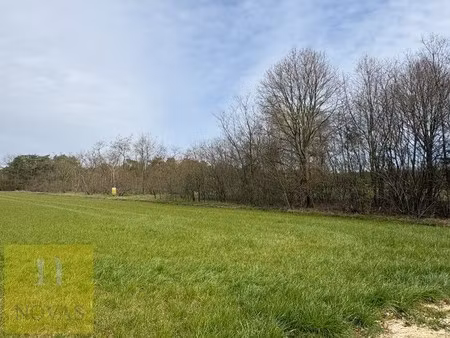 landbouwgrond 37are 14ca op gelderhorsten
