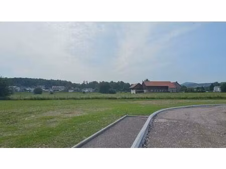 à vendre proche gerardmer - terrain viabilisé  prêt à bâtir !