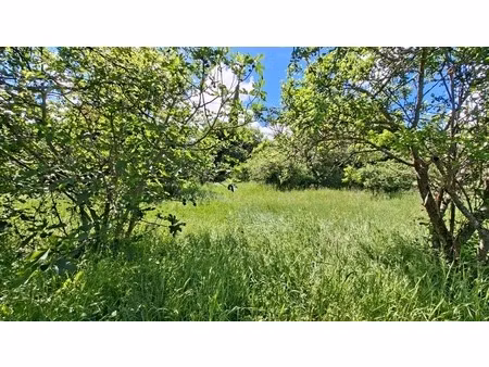 terrain à vendre de 676 00 m² (les baumelles) à digne les bains (04)
