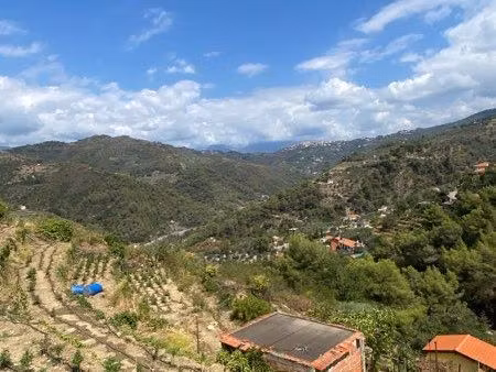 terrain agricole constructible 1h de nice (3800m2)