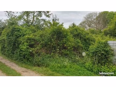 location jardin