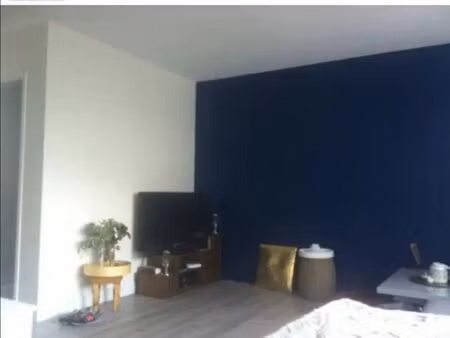 studio 1 pièce 29 m²