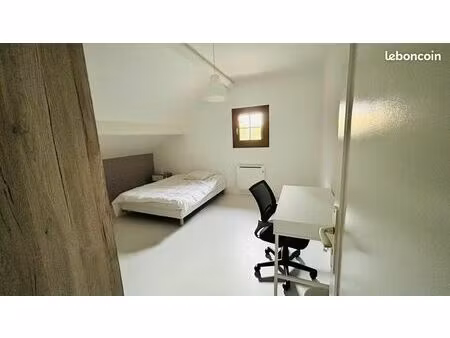 chambre à louer - 18m2 - jardin et parking - 50m du tram b