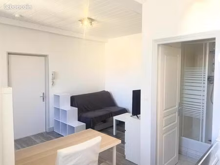 studio 1 pièce 19 m²
