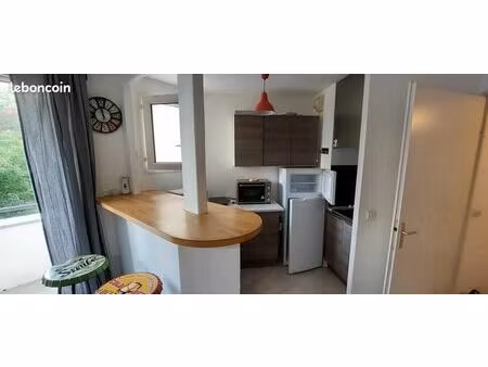 appartement 1 pièce 29 m²