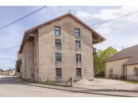 vente immeuble 309 m2 à le russey
