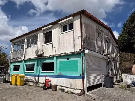 location immeuble 250 m² à rivière-salée (97215)