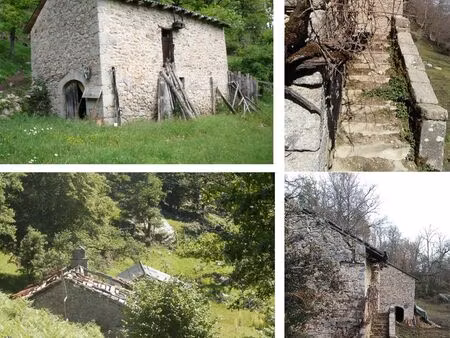 terrain boisé 8500m² avec ruines
