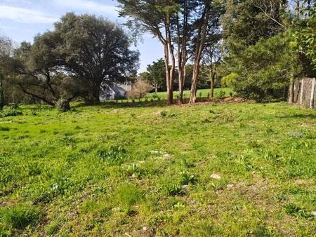 terrain à vendre  1243m2  guérande