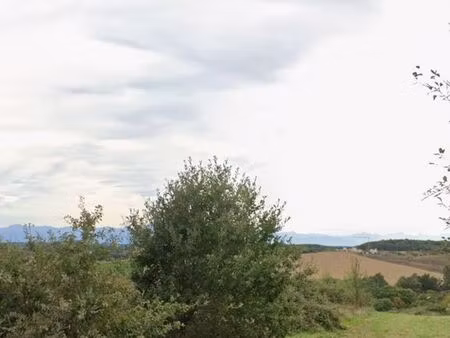 terrain en nature de lande